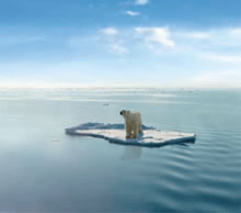 Polar Bear on an Iceberg
